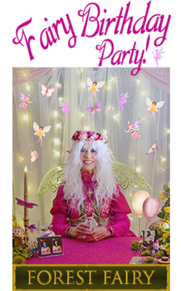 Past Party gallery image of Forrest Fairy costume.