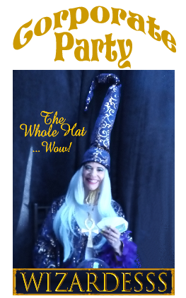 Past Party Gallery image of Harry Potter Wizardess costume.